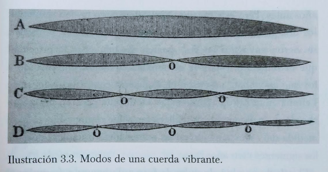Sauveur-armonicos-posando-el-dedo.jpeg