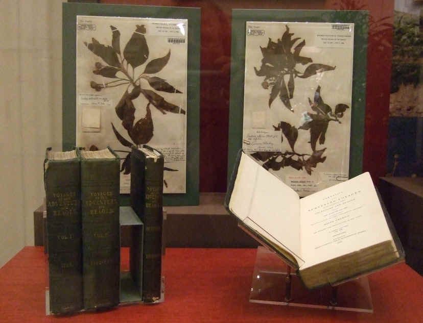 Edición de El viaje del Beagle