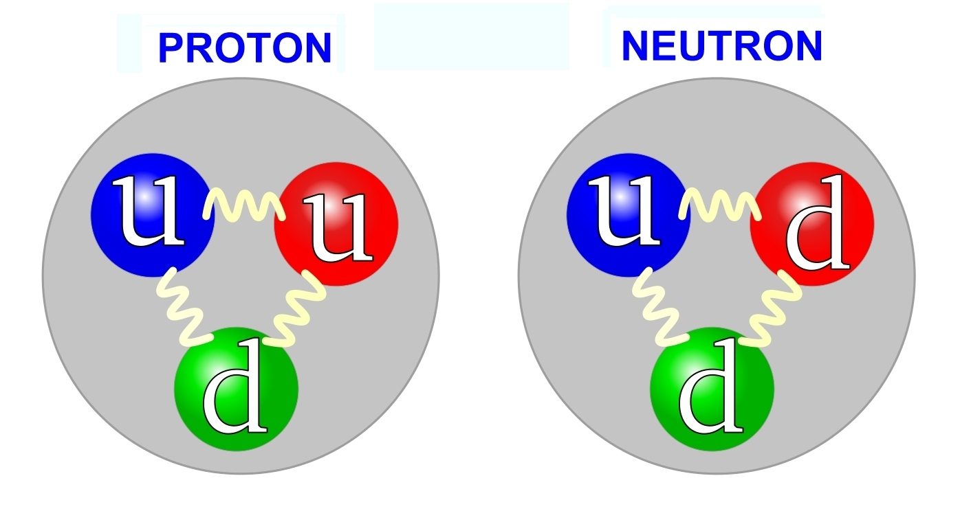 Structure of protons and neutrons