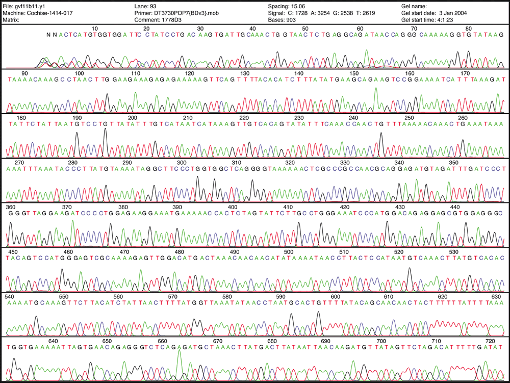 DNA sequencing interferogram