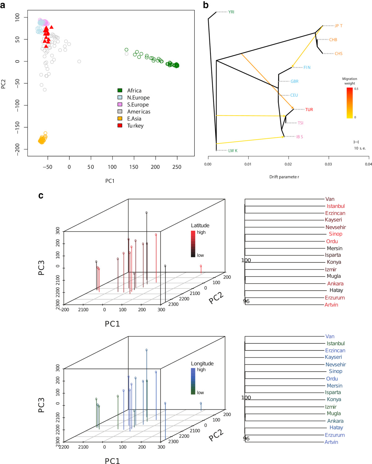 Genomic analysis of Turkish individuals