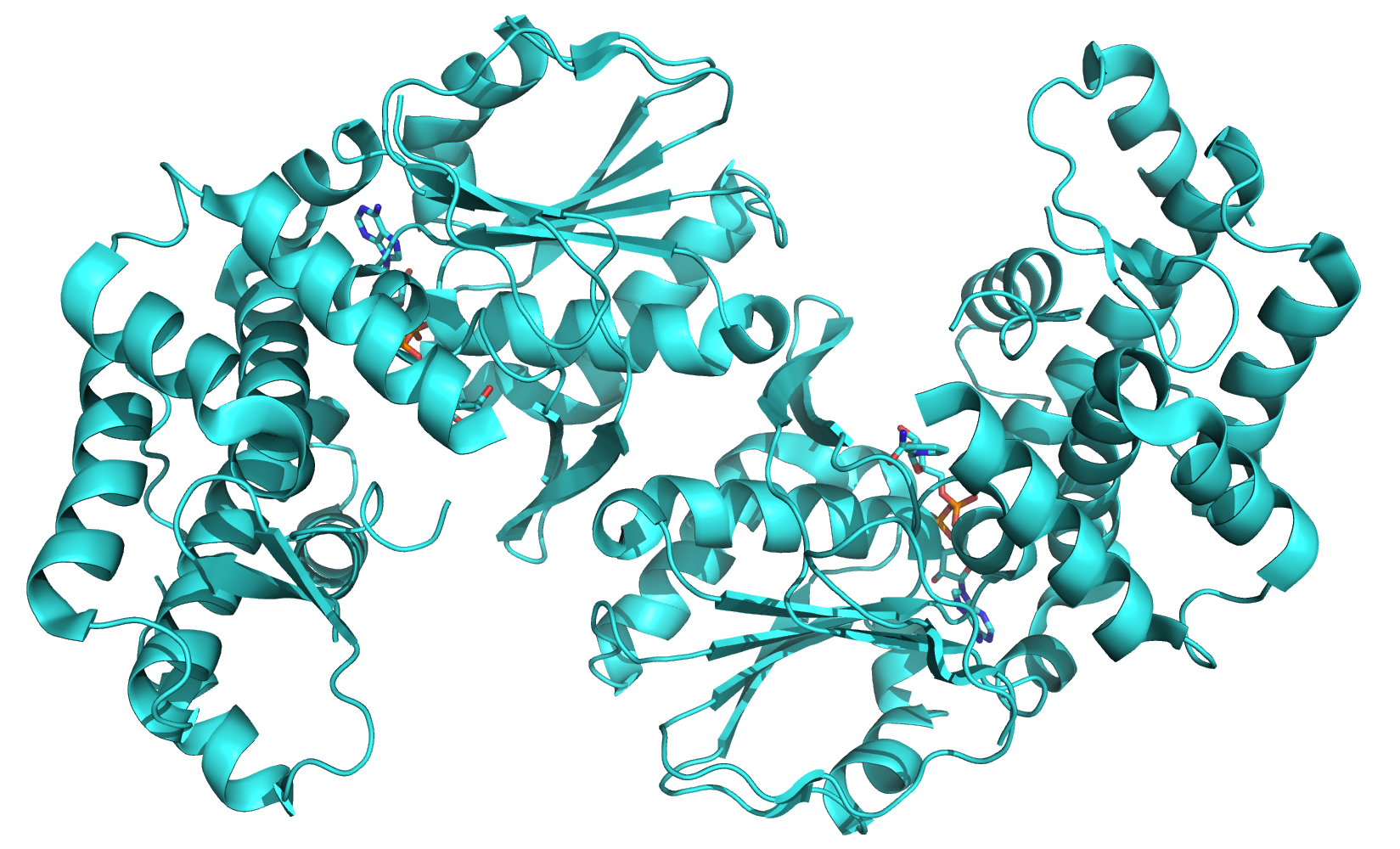Estructura molecular de una enzima bacteriana