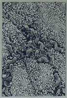 Helicobacter pylori visto al microscopio