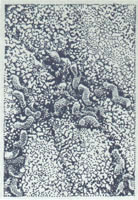 Helicobacter pylori visto al microscopio