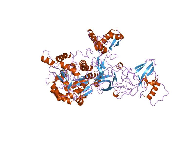 Modelo estructural de una proteína bacteriana