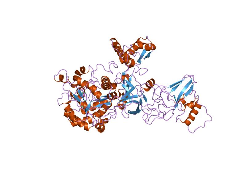 Modelo estructural de una proteína bacteriana
