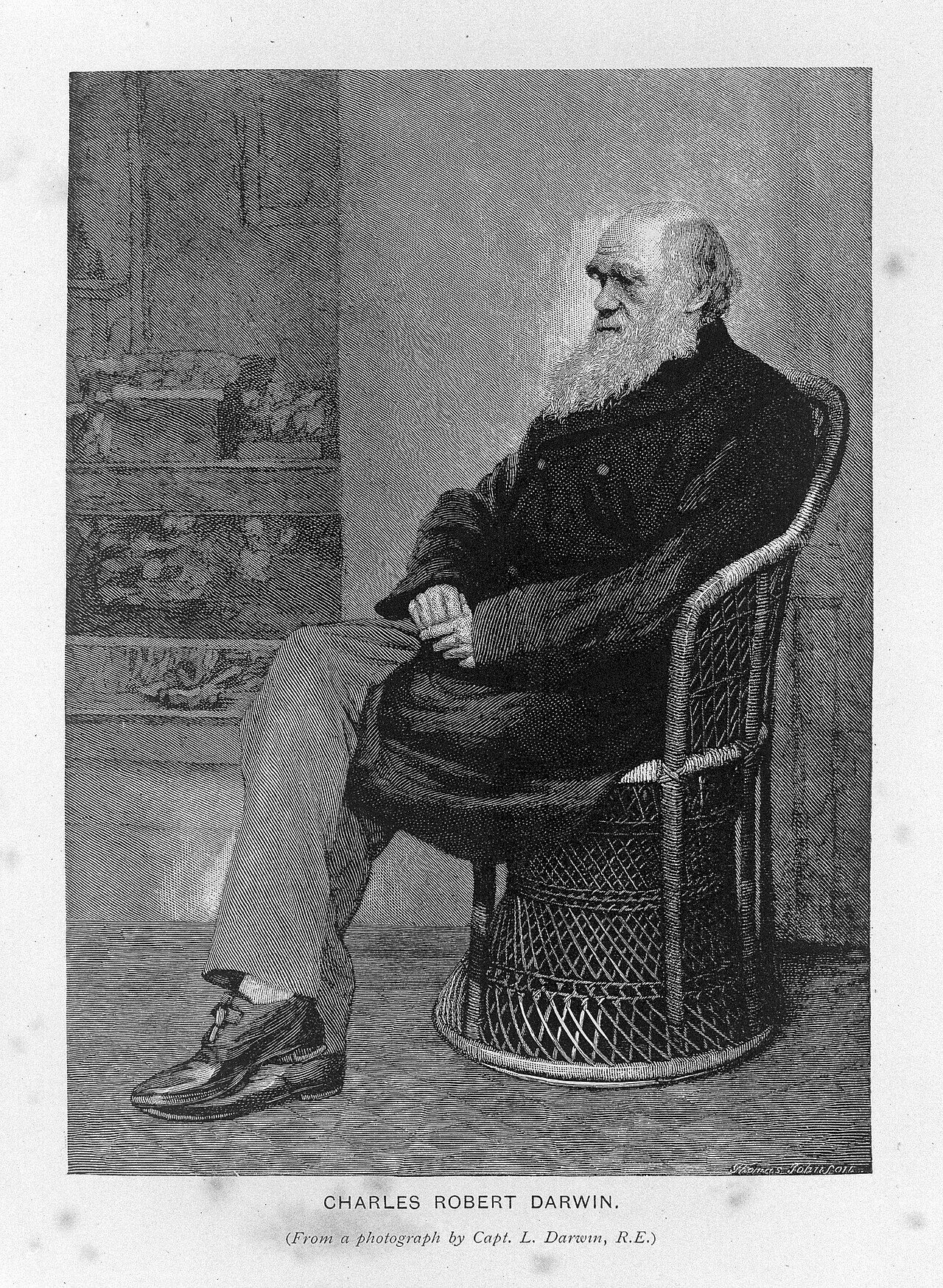 Portrait of Charles Darwin