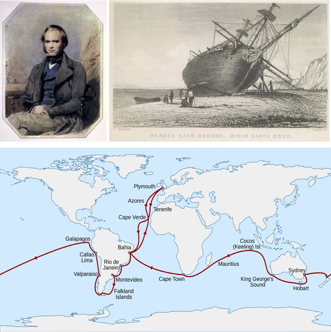 Darwin, HMS Beagle, and the Voyage Route