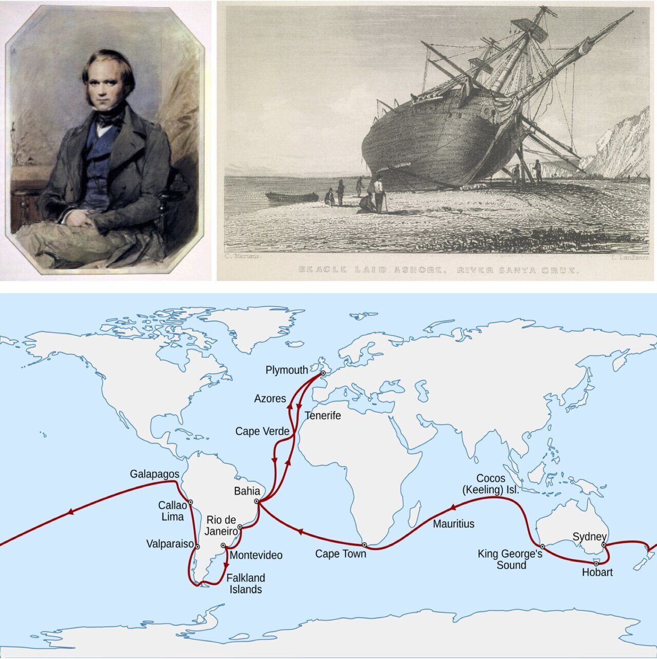 Darwin, el HMS Beagle y la ruta del viaje