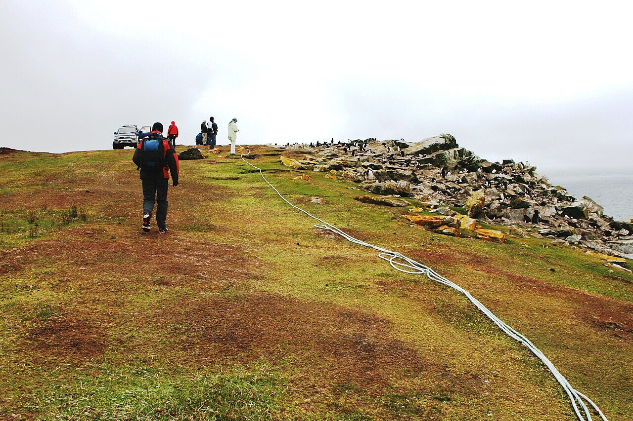 Costa y colonia de pingüinos en las islas Malvinas