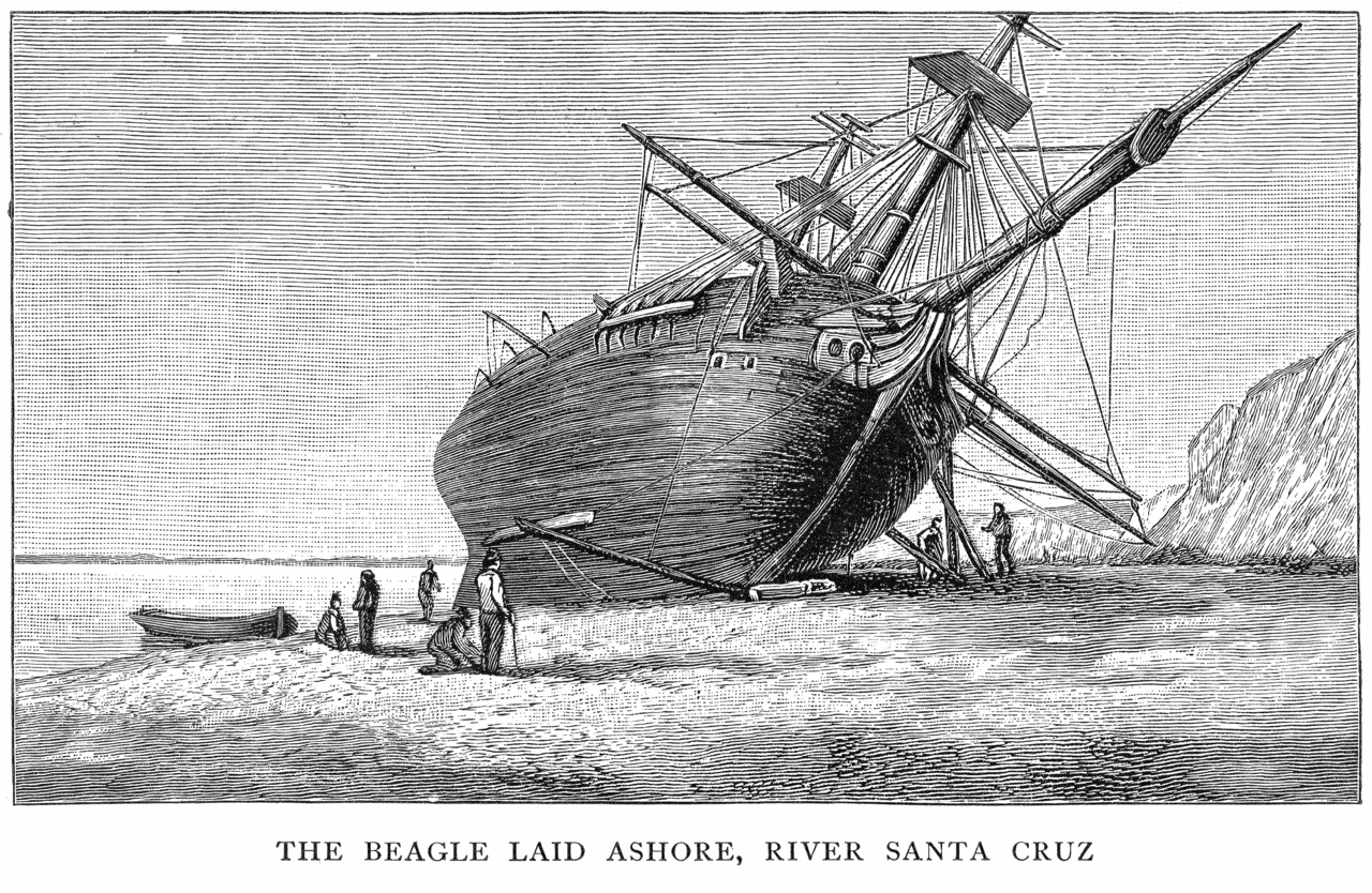 The Beagle Beached for Repairs